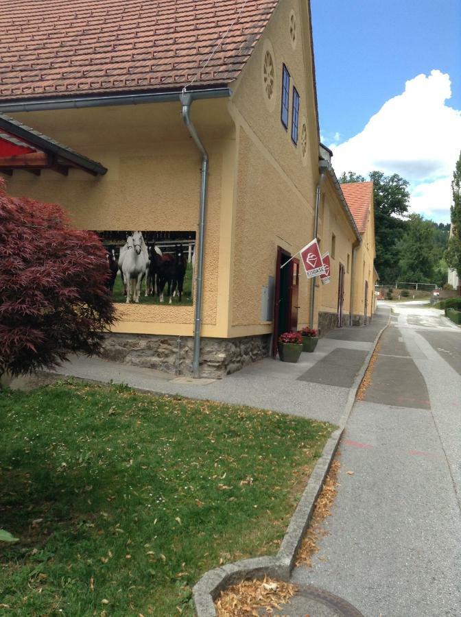 Weststeirische Ferienwohnung Piber Esterno foto