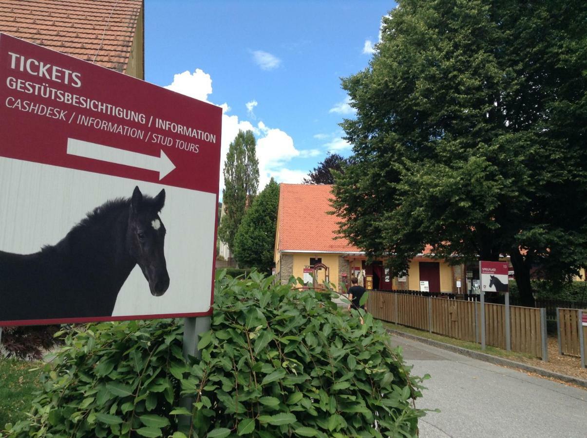 Weststeirische Ferienwohnung Piber Esterno foto