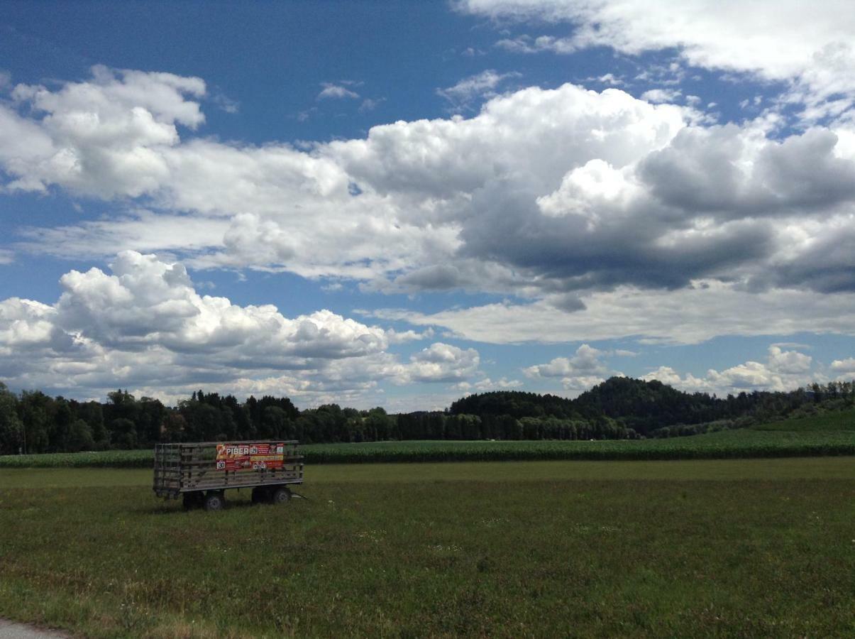 Weststeirische Ferienwohnung Piber Esterno foto