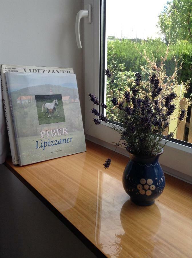 Weststeirische Ferienwohnung Piber Esterno foto