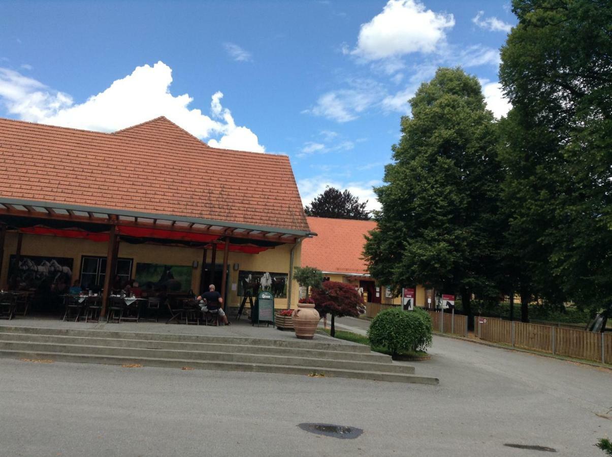 Weststeirische Ferienwohnung Piber Esterno foto